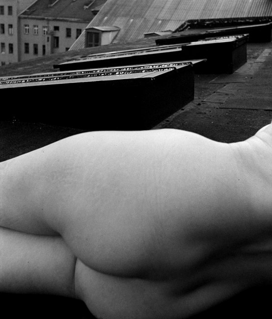 akt auf dem dach, nude on the roof